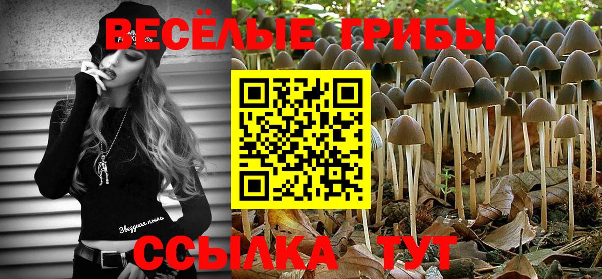 Псилоцибиновые грибы Magic Shrooms Октябрьский