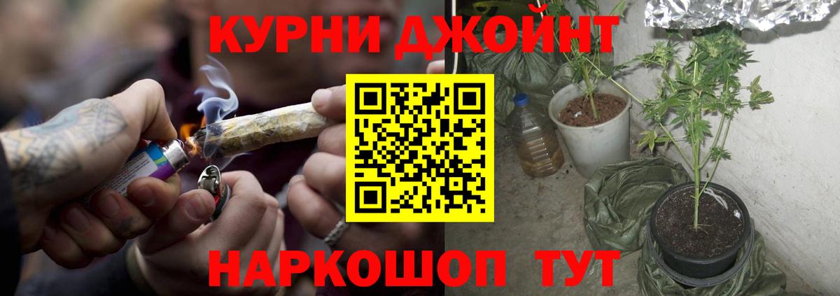 Канабис White Widow  Канабис конопля  Каннабис планчик  Октябрьский  Вход с VPN 
